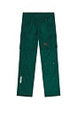 view 6 of 7 Hemisphere Cargo Pants in Rain Forest