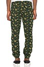 view 3 of 4 PANTALÓN DEPORTIVO in Camo