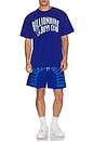 view 4 of 4 Arch Tee in Surf The Web
