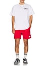 view 4 of 4 CAMISETA in White