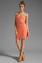 view 2 of 6 Lynchburg Lace Mini Dress in Fresh Peach