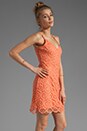 view 3 of 6 Lynchburg Lace Mini Dress in Fresh Peach