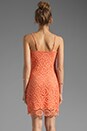 view 4 of 6 Lynchburg Lace Mini Dress in Fresh Peach