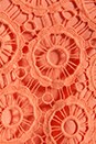 view 6 of 6 Lynchburg Lace Mini Dress in Fresh Peach
