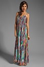 view 2 of 6 Bayberry Cascade Printed Chiffon Maxi Dress in Multi
