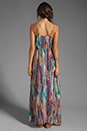 view 4 of 6 Bayberry Cascade Printed Chiffon Maxi Dress in Multi
