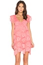 view 1 of 5 Jacqueline Dress in Coral