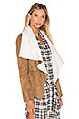 view 2 of 4 Bourne Jacket with Faux Fur Lining in Camel