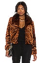 view 1 of 4 Leopard Queen Jacket in Rust