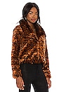 view 2 of 4 Leopard Queen Jacket in Rust