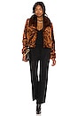 view 4 of 4 Leopard Queen Jacket in Rust