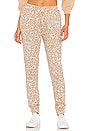 view 1 of 4 I Want It Cat Way Jogger in Camel