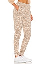 view 2 of 4 I Want It Cat Way Jogger in Camel