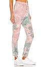 view 2 of 4 Dye Don't Care Jogger in Multi
