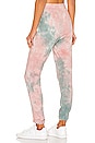 view 3 of 4 Dye Don't Care Jogger in Multi