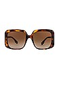 view 1 of 3 Penelope in Light Havana & Warm Gradient Brown
