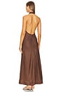 view 4 of 4 Varenna Bias Maxi Dress in Cocoa