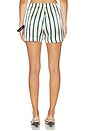 view 5 of 7 Cannes Silk Short in Forest Stripe