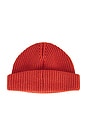 view 2 of 2 Mosely Beanie Hat in Roobios