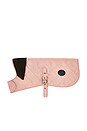 view 1 of 2 ABRIGO DOG in Pink