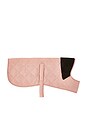view 2 of 2 ABRIGO DOG in Pink