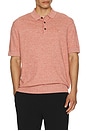 view 4 of 5 Buston Knit Polo in Red Spice