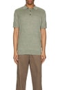 view 4 of 4 Buston Knit Polo in Dusty Green