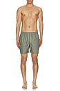 view 6 of 6 Shell Swim Short in Olive