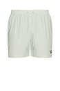 view 1 of 6 Somerset Swim Short in Pale Apple