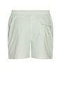view 2 of 6 Somerset Swim Short in Pale Apple