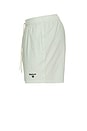 view 3 of 6 Somerset Swim Short in Pale Apple