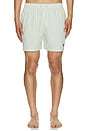 view 5 of 6 Somerset Swim Short in Pale Apple