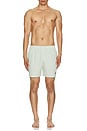 view 6 of 6 Somerset Swim Short in Pale Apple