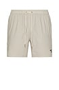 view 1 of 6 Somerset Swim Short in Washed Stone