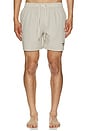 view 5 of 6 Somerset Swim Short in Washed Stone
