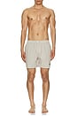 view 6 of 6 Somerset Swim Short in Washed Stone