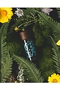 view 5 of 5 X Jeff Goldblum Goldblooming Perfume in 