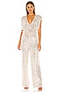 view 1 of 4 Sequin Skinny Jumpsuit in Corozo Combo