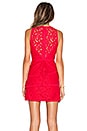 view 3 of 4 Hanah Lace Dress in Burnt Red