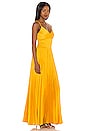 view 2 of 3 Maxi Dress in Ceylon Yellow