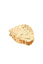 view 1 of 3 Shell Hair Clip in Gold