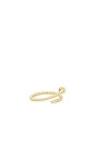 view 2 of 3 ANILLO ROMA in Gold