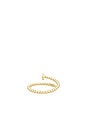 view 3 of 3 ANILLO ROMA in Gold