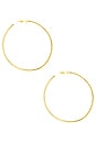 view 2 of 3 Wildside Hoops in Gold