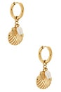 view 1 of 3 Cove Earrings in Gold & Shell