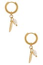 view 2 of 3 Cove Earrings in Gold & Shell