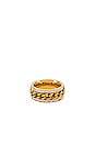 view 1 of 1 BAGUE PARKER CHAIN in Gold