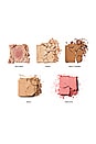 view 3 of 3 PALETTE DE BLUSH CHEEKLEADERS in 
