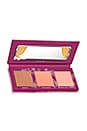 view 1 of 3 Babe On Board Mini Cheek Palette in 