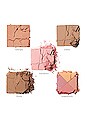 view 3 of 3 PALETA ROSTRO CHEEKTOPIA in 
